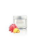 گلدان آپارتمانی تیلادنسیا - Image 4